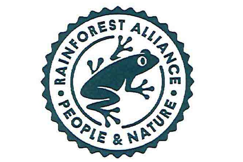 Certificate Rainforest Alliance